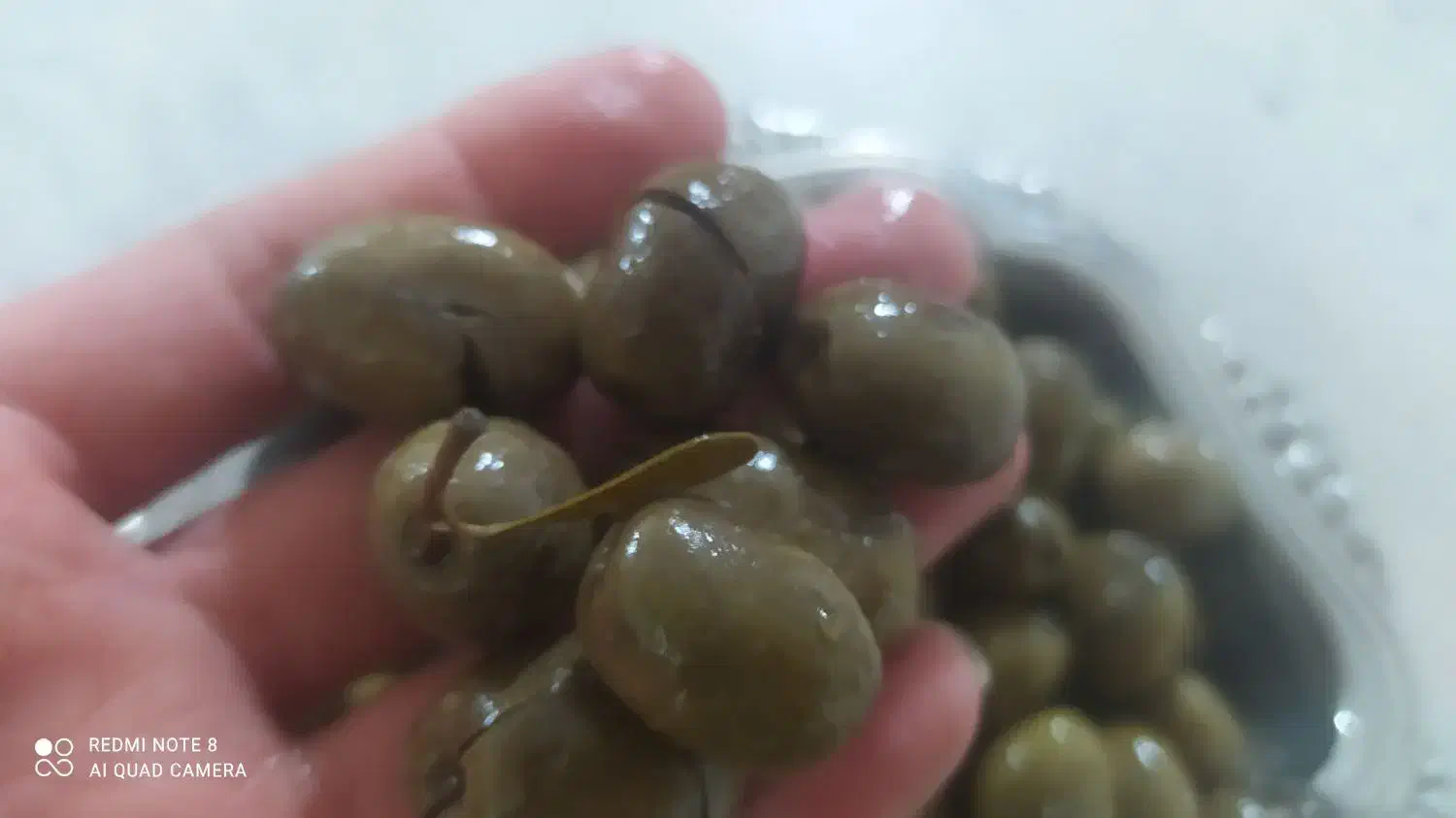 زیتون|خوردنی و آشامیدنی|اقبالیه, |دیوار