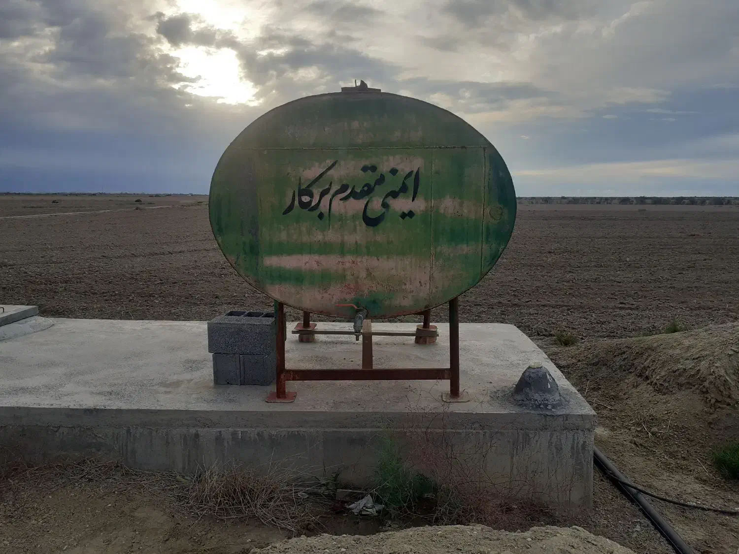 گوسفند و توقلی|حیوانات مزرعه|گمیشان, |دیوار