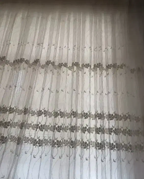 پرده|پرده، رانر، رومیزی|قم, شاه ابراهیم|دیوار