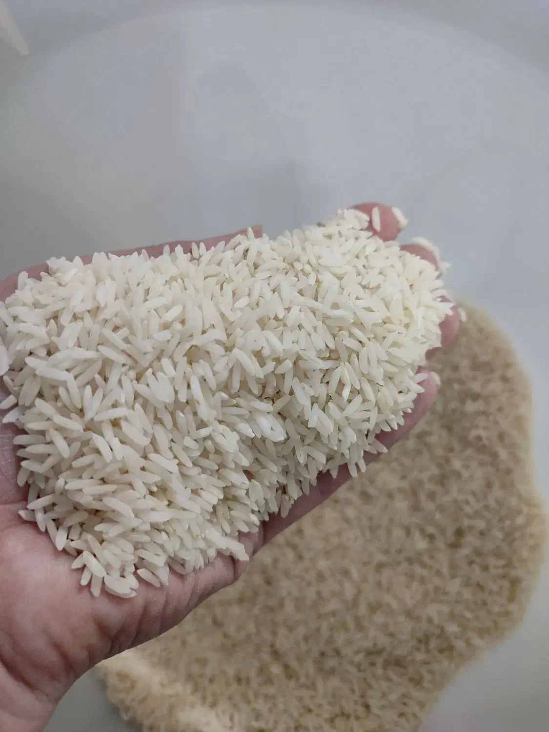 برنج اصل هاشمی بوجاری شده|خوردنی و آشامیدنی|نکا, |دیوار