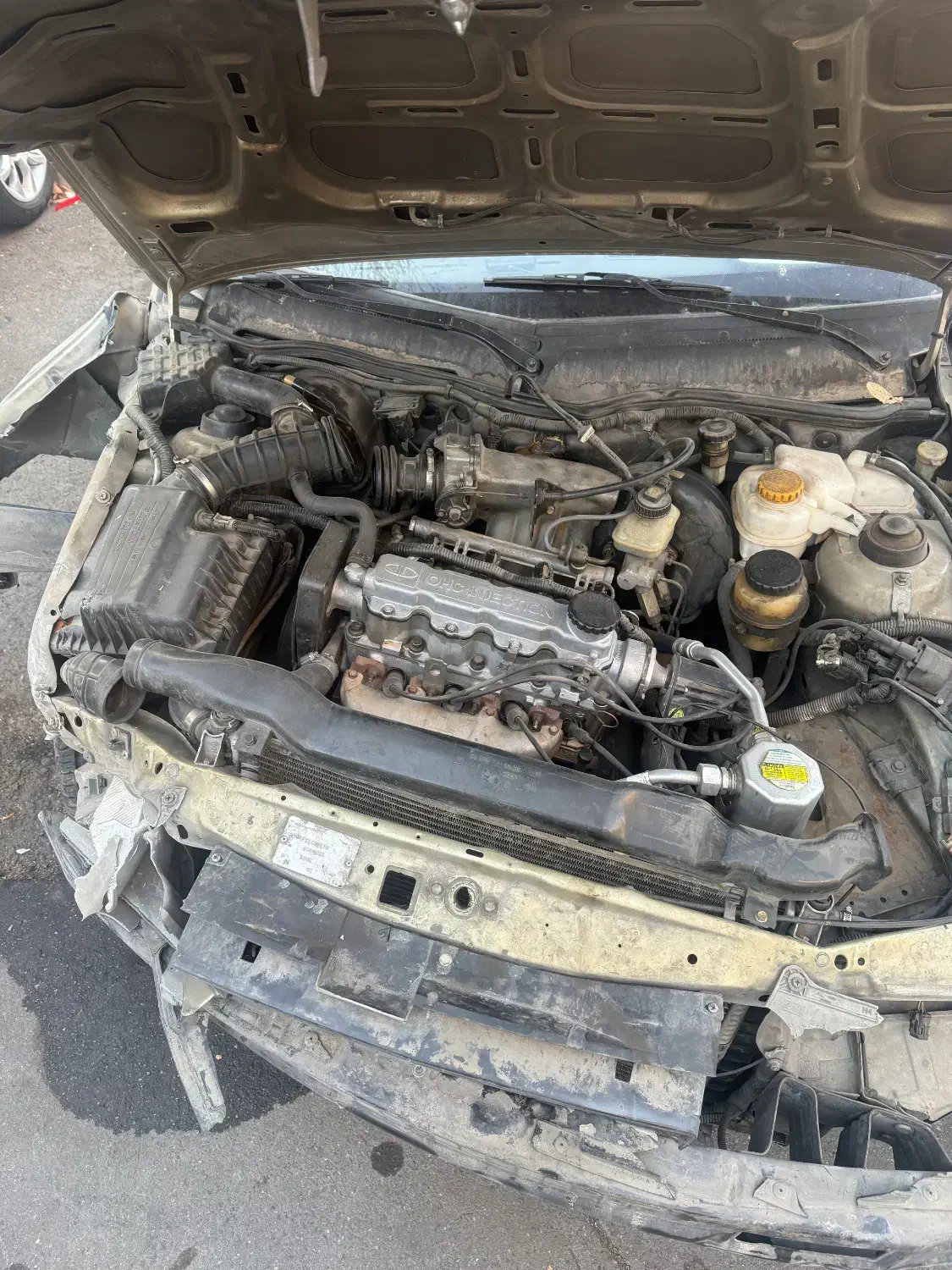 دوو سیلو ۱۳۸۱|خودرو سواری و وانت|تهران, کرمان|دیوار