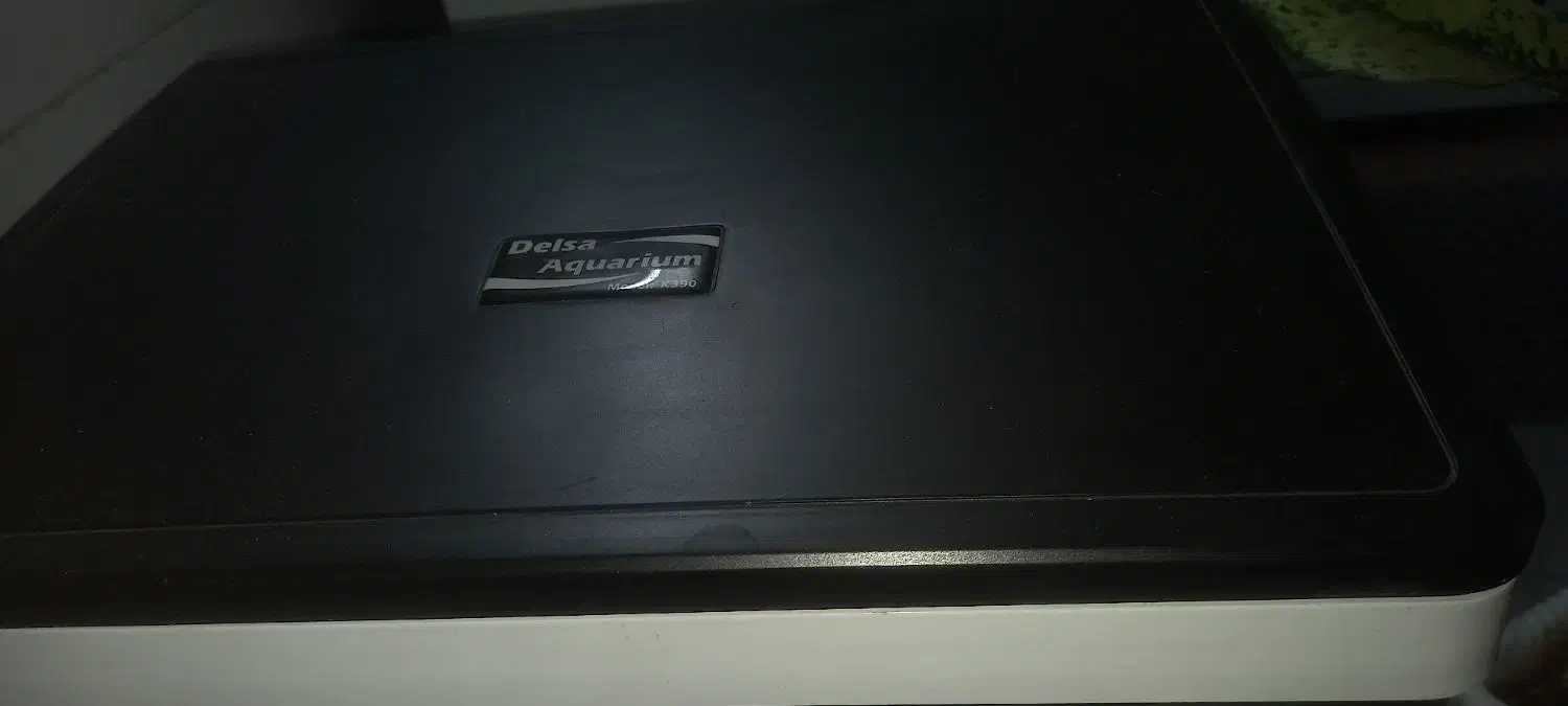 اکواریوم شرکتی همراه با ماهی|ماهی|قم, شاه ابراهیم|دیوار