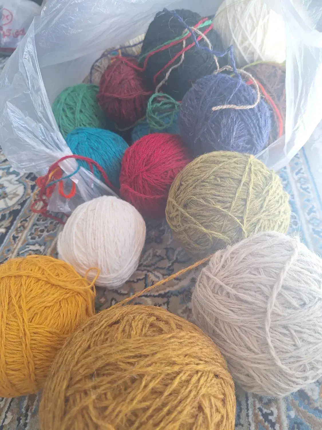 نخ گلیم|گلیم، جاجیم، گبه|اصفهان, ملاصدرا|دیوار