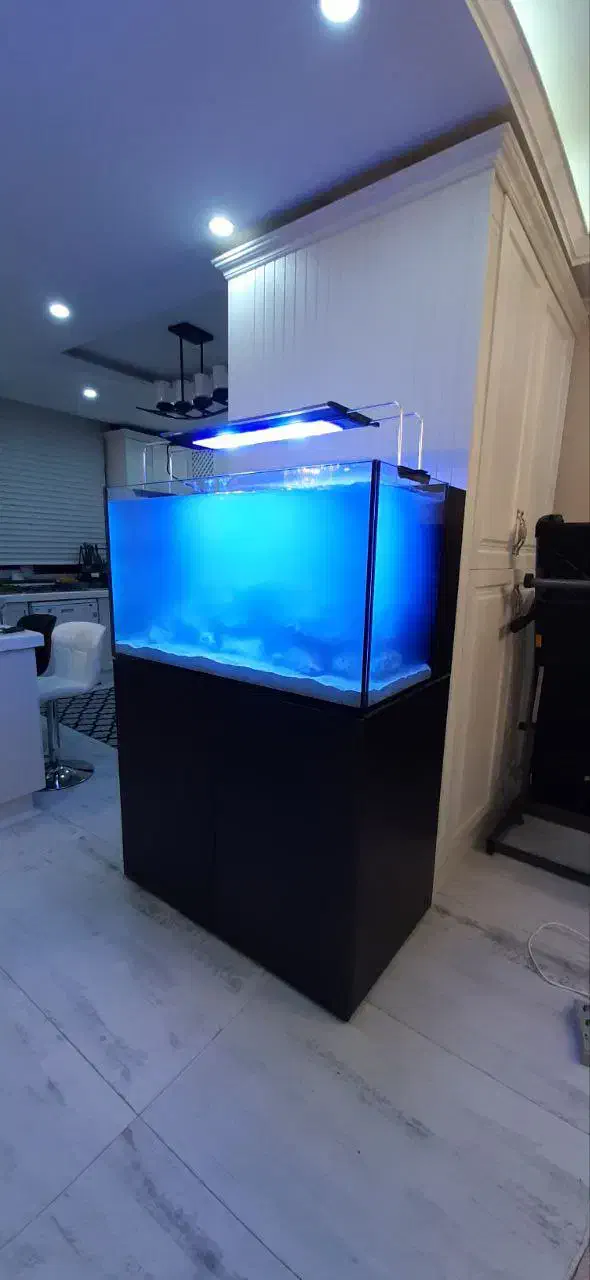 ساخت آکواریوم آب شور|ماهی|تهران, اسکندری|دیوار