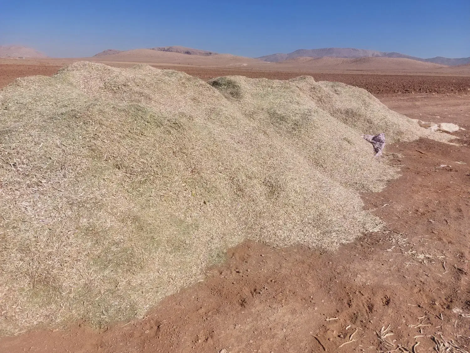 مقدار ۱۰تن کاه لوبیا|حیوانات مزرعه|سده (فارس), |دیوار