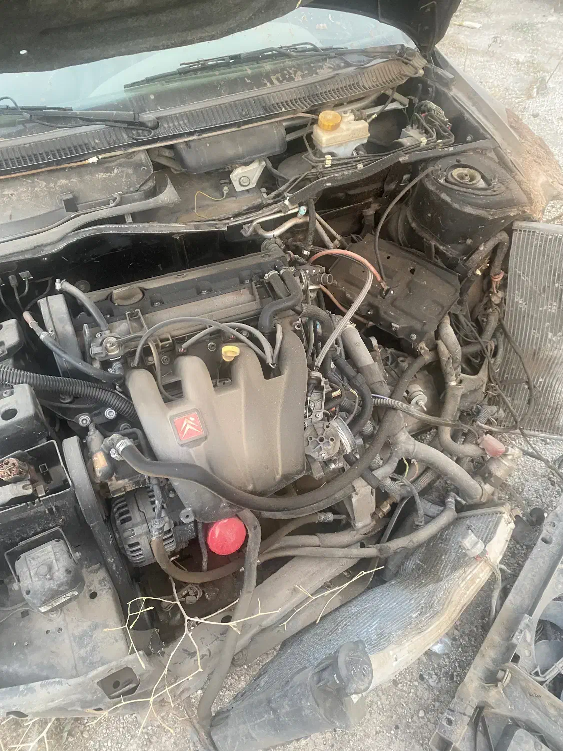 پارس Elx مدل ۸۶|خودرو سواری و وانت|کرمانشاه, |دیوار