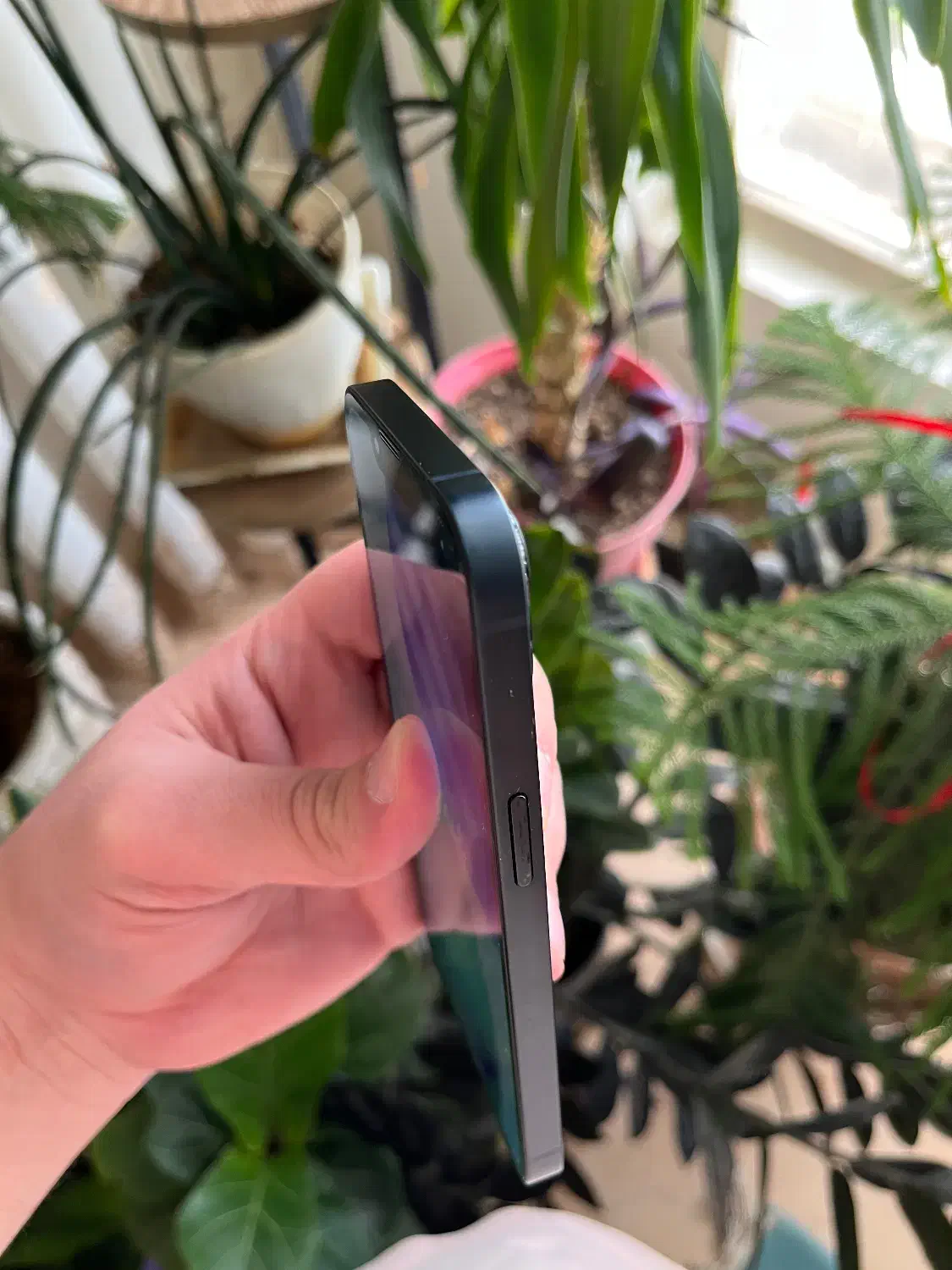 13 ch 128|موبایل|اصفهان, باغ نگاره|دیوار