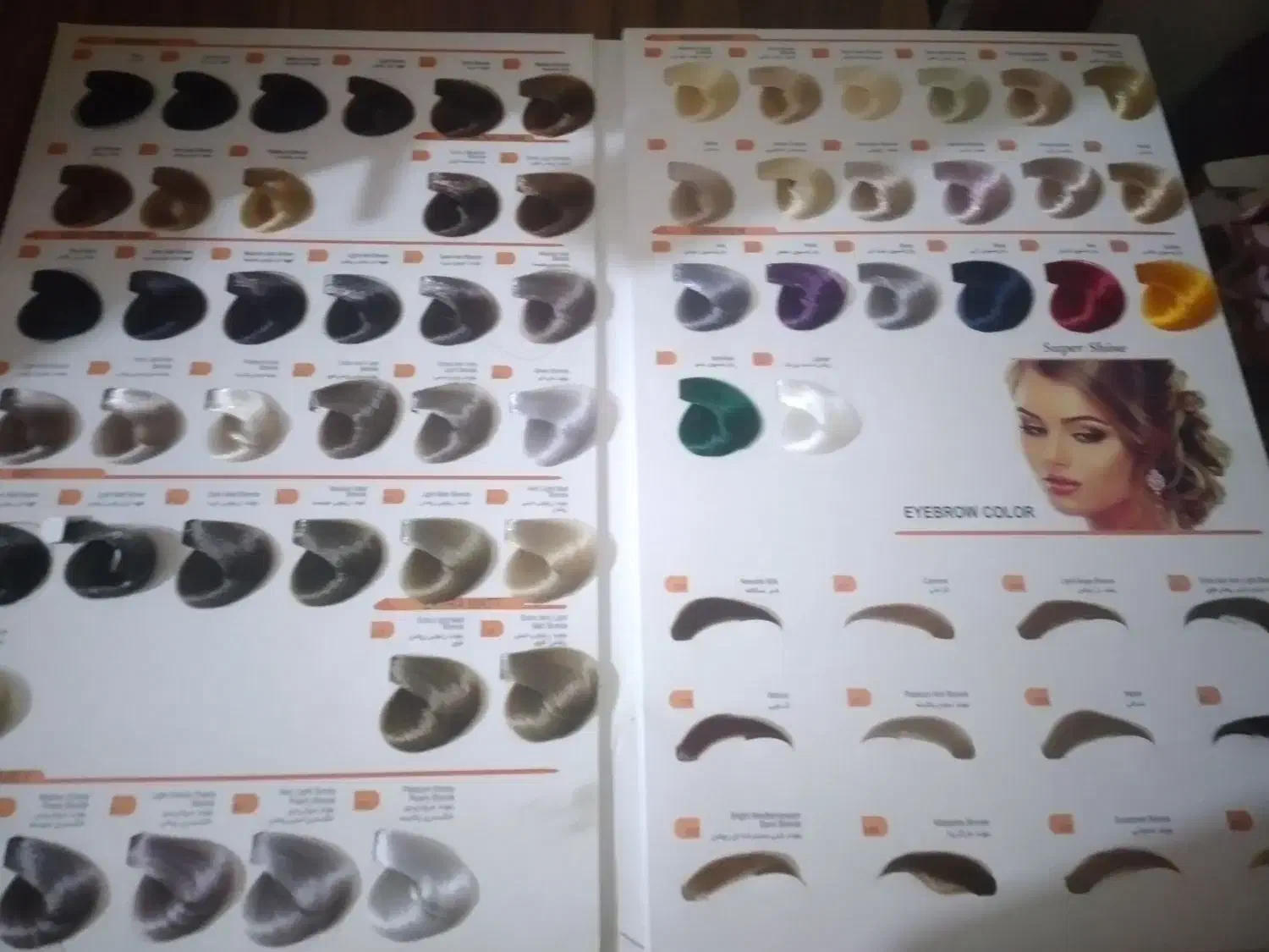 کاتالوگ رنگ مو|آرایشی، بهداشتی، درمانی|گرگان, |دیوار