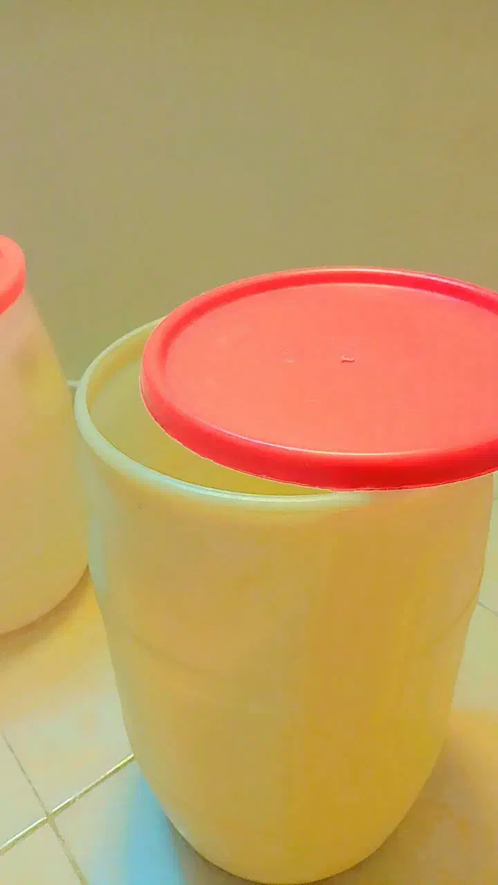 سطل|ظروف نگهدارنده، پلاستیکی، یک‌بارمصرف|تهران, فلاح|دیوار