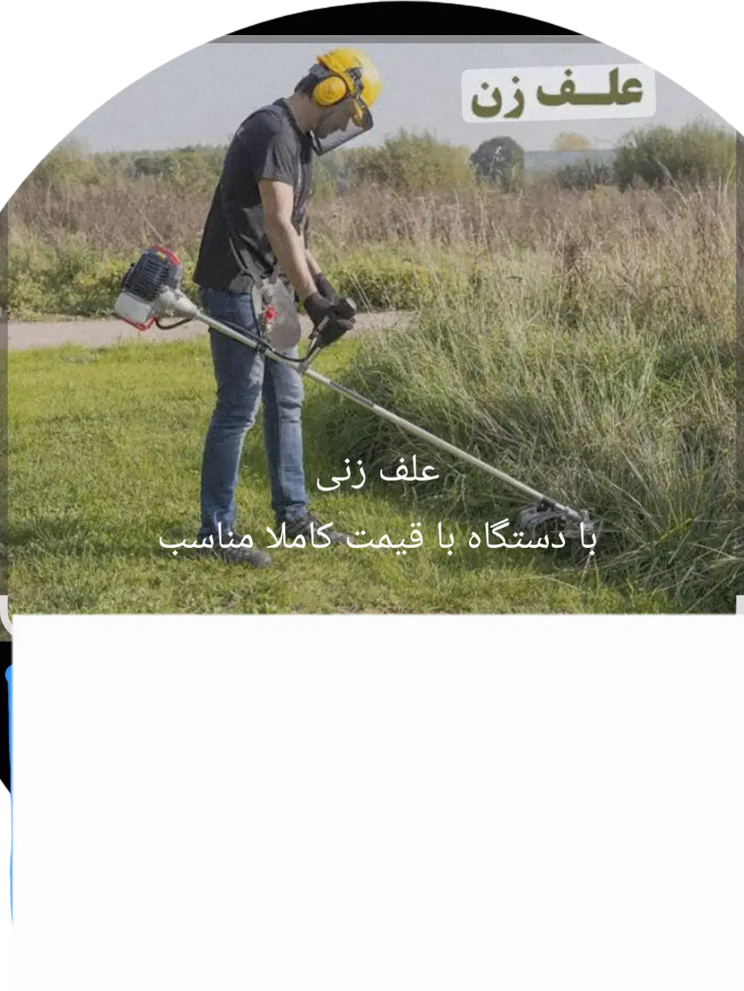 علف زنی باغ وحیاط|خدمات باغبانی و درختکاری|سنگر, |دیوار