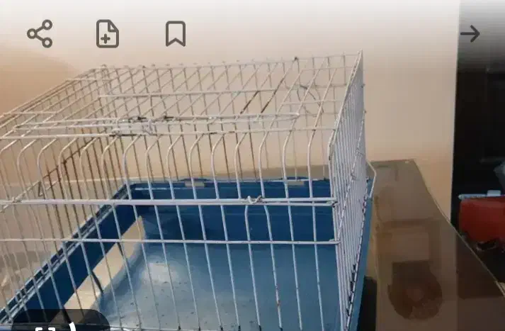 قفس خرگوش|لوازم جانبی حیوانات|تهران, صادقیه|دیوار