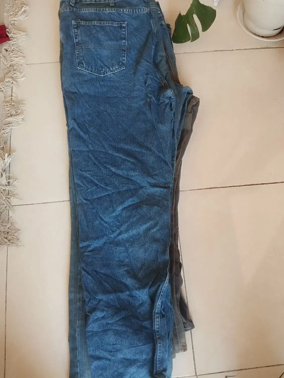 شلوار لی|لباس|کاشمر, |دیوار