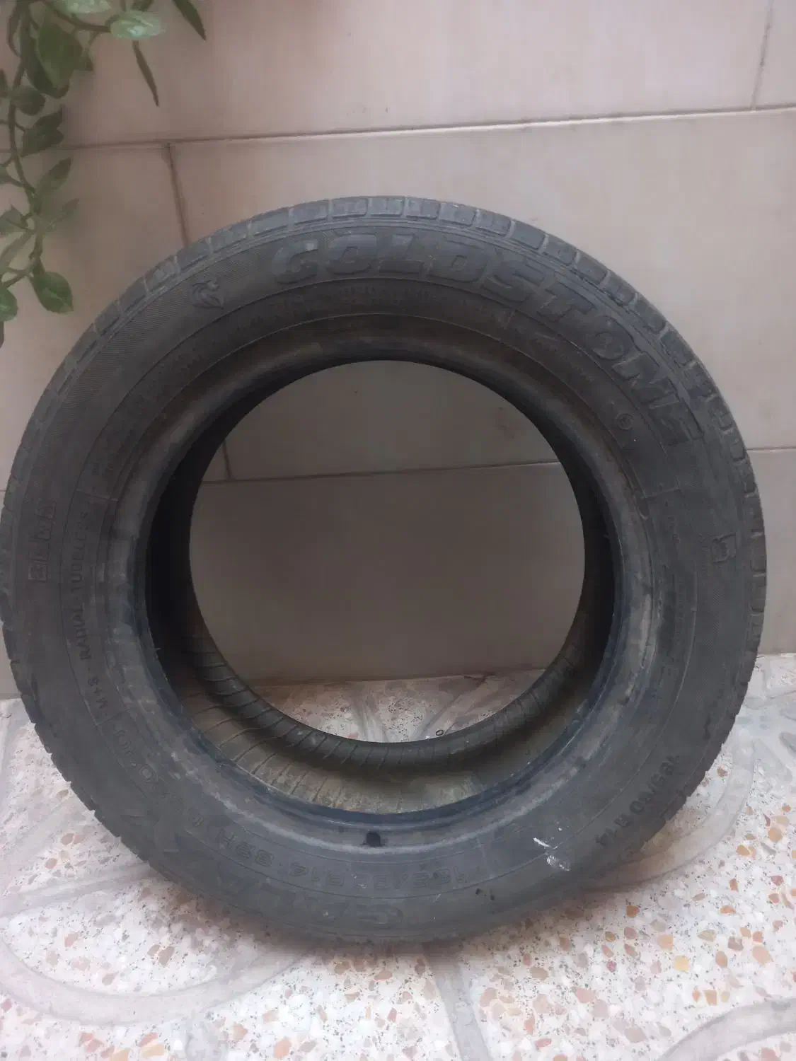 لاستیک ساینا بارز ۲ حلقه وگلدستون ۲ حلقه|قطعات یدکی و لوازم جانبی|بهارستان, |دیوار