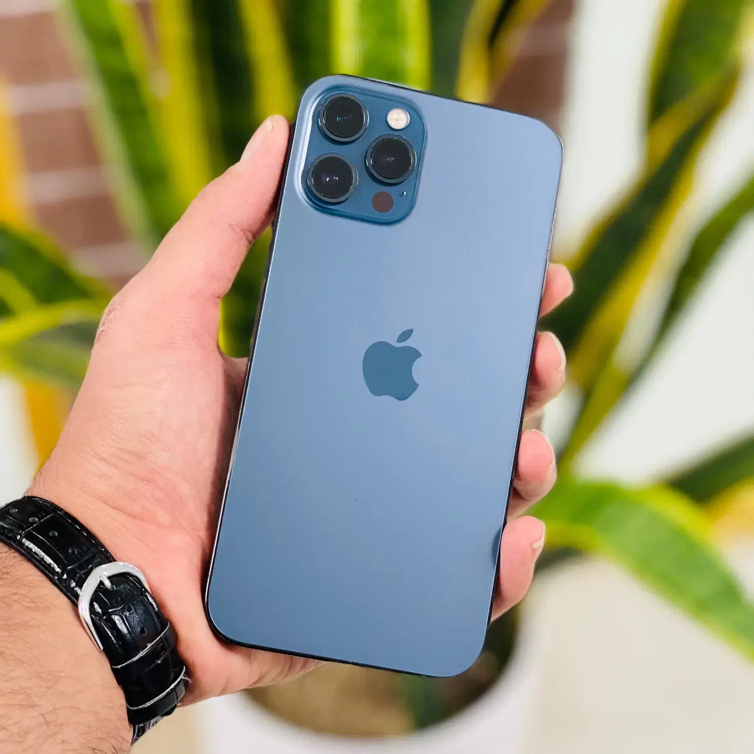 آیفون ۱۲ پرو مکس / Iphone 12 pro max|موبایل|بیرجند, |دیوار