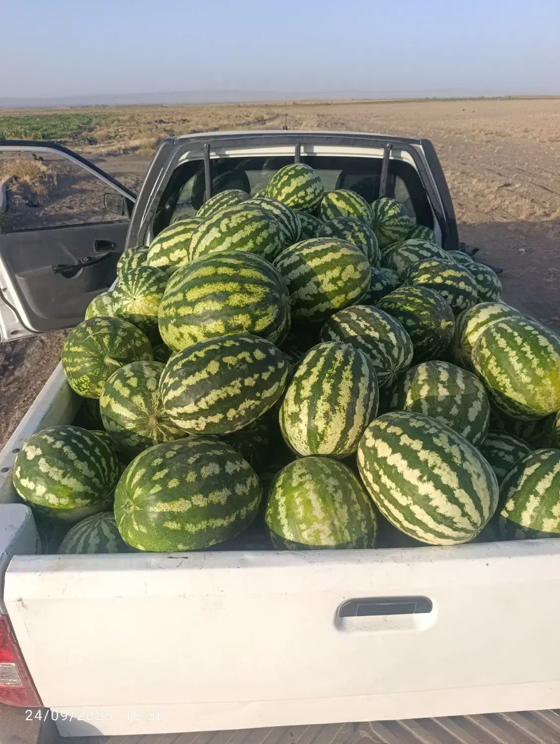 پراید وانت|خودرو سواری و وانت|سبزوار, کراب|دیوار