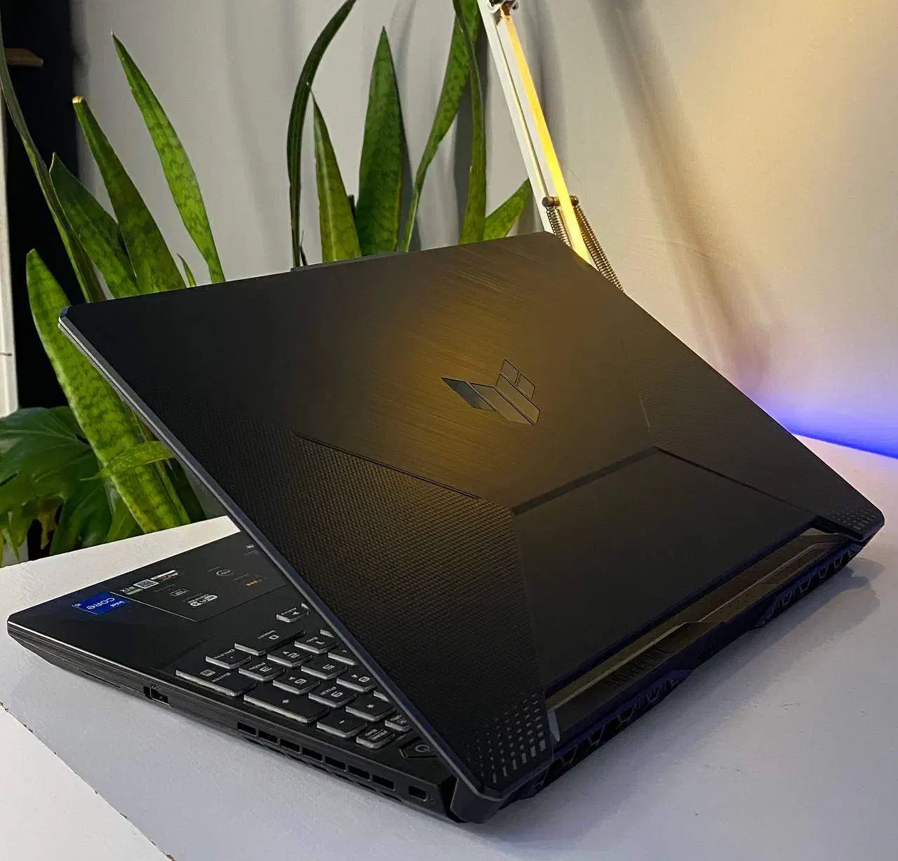 لپ تاپ گیمینگ ایسوس TUF FX506H|رایانه همراه|رشت, دیلمان|دیوار