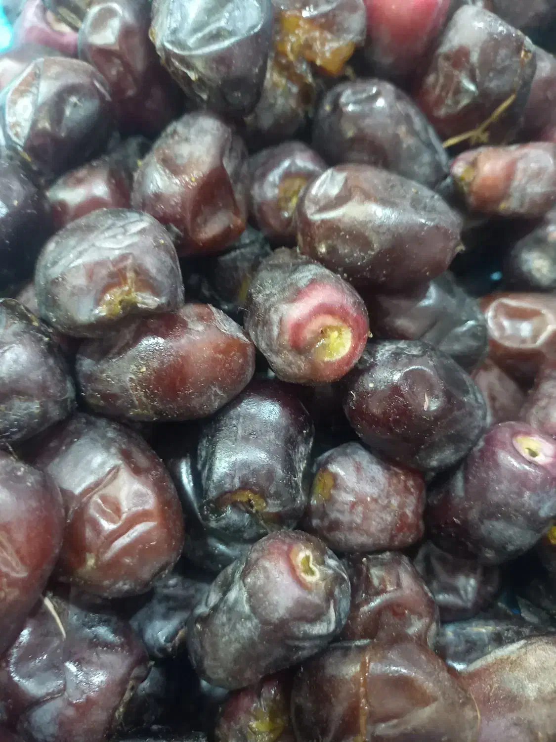 نیرو خانم|استخدام صنعتی، فنی، مهندسی|بم, |دیوار