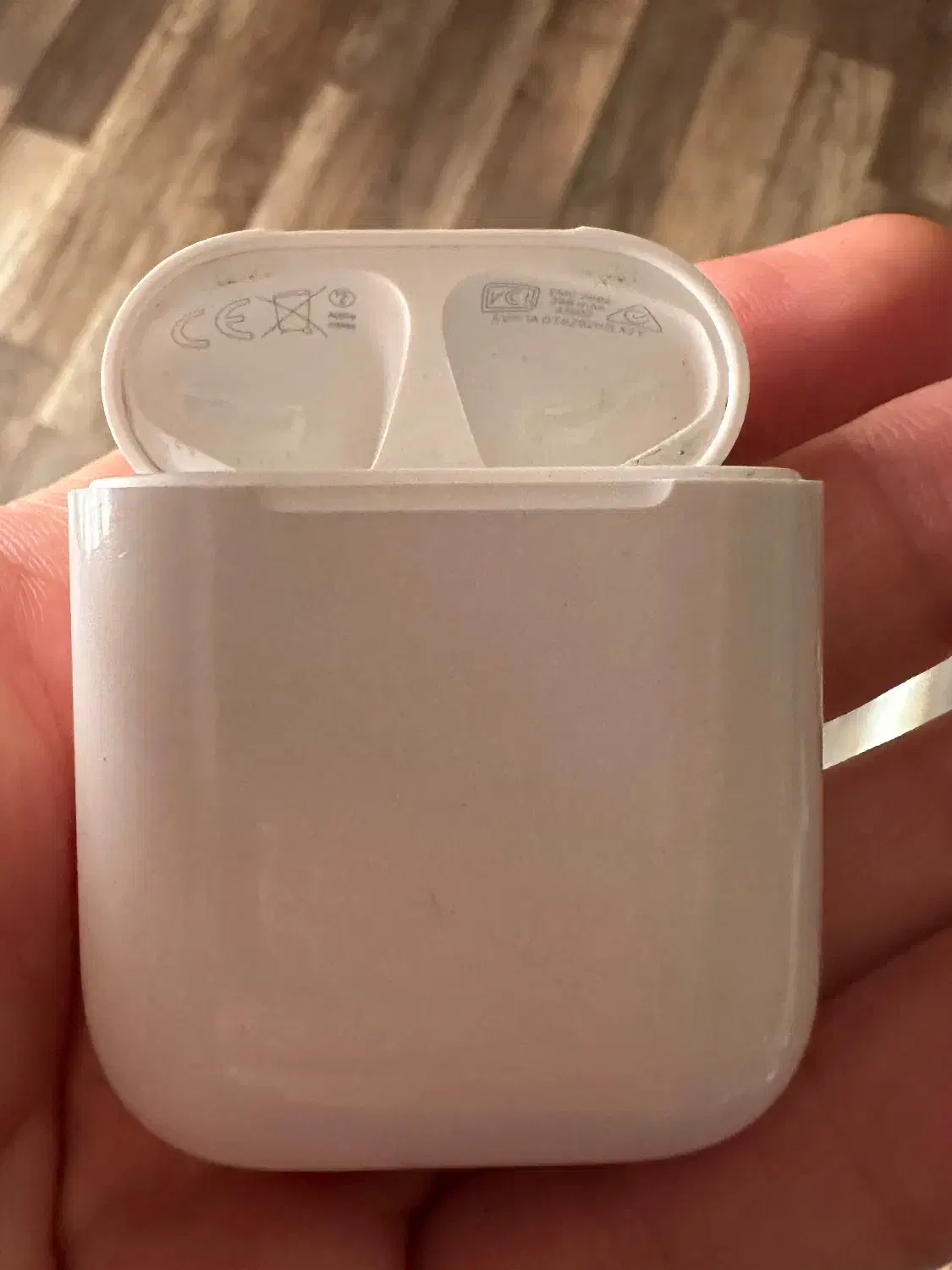 ایرپاد ۲ اپل اورجینال|لوازم جانبی موبایل و تبلت|رشت, کاکتوس|دیوار