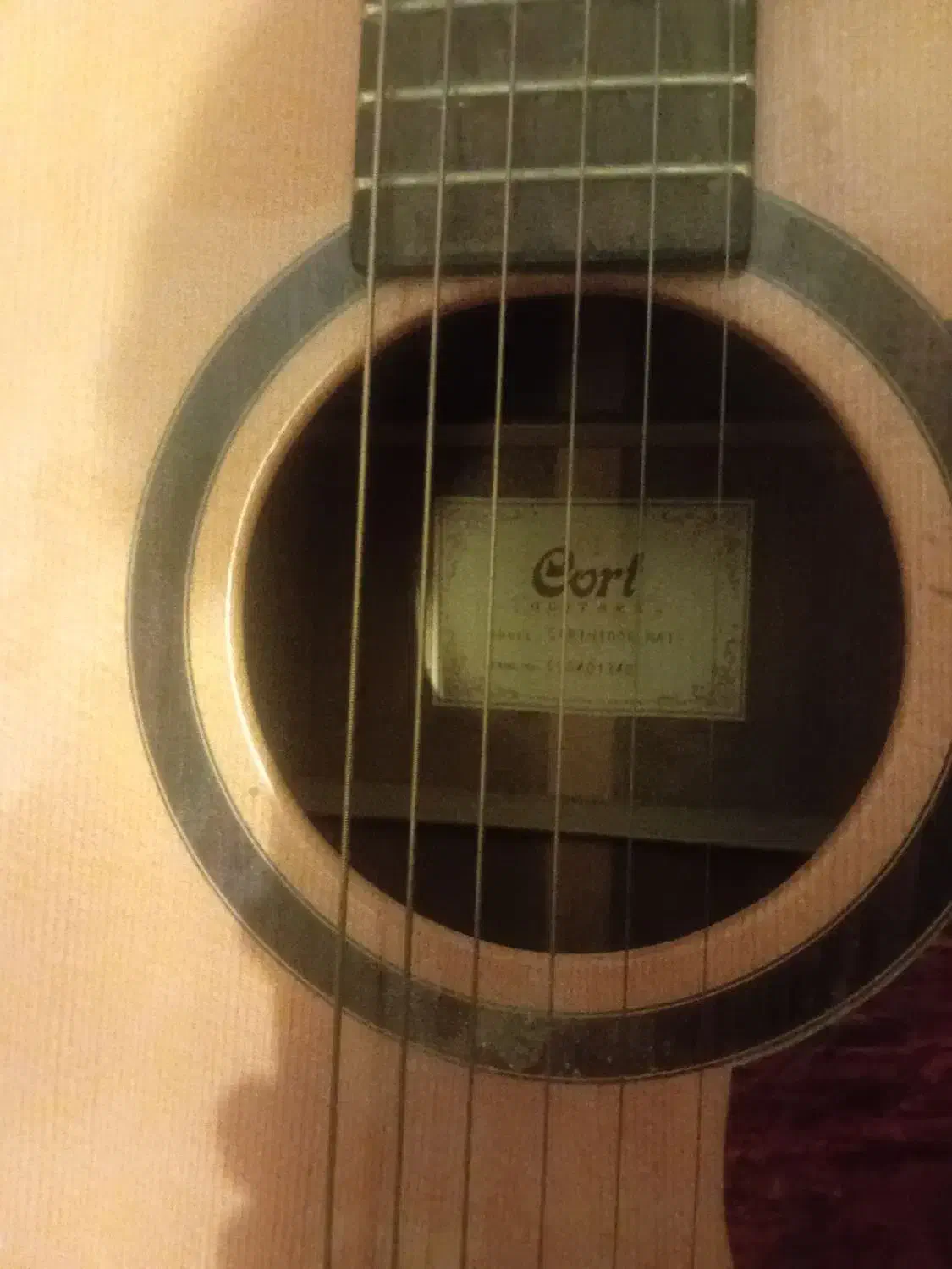 گیتار آکوستیک مدل کورت Erth 100|گیتار، بیس، امپلیفایر|کرج, جهانشهر|دیوار