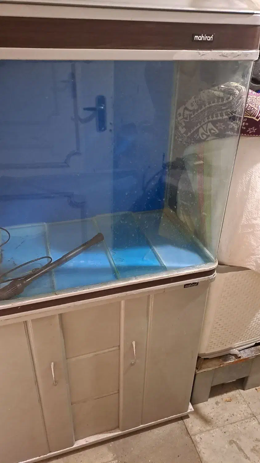 اکواریوم شرکتی شیشع ۸ میل|ماهی|قزوین, |دیوار