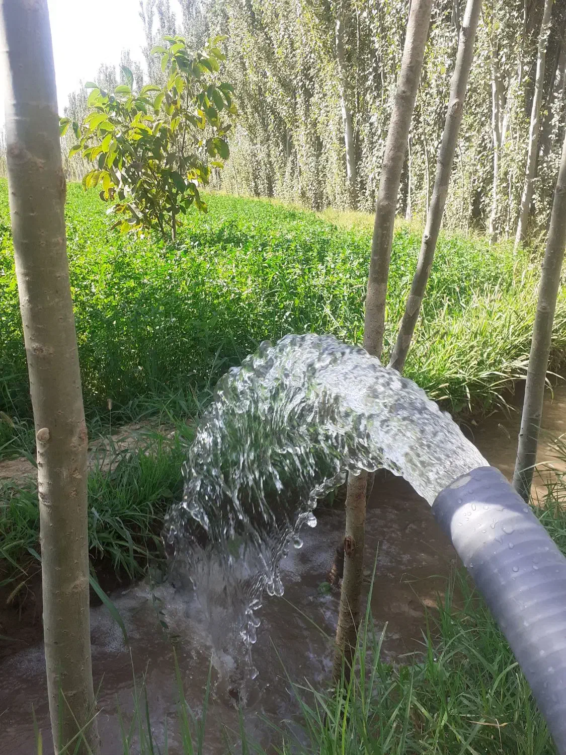 اجاره شناور دو اینچ و سه اینچ همراه موتور برق|خدمات باغبانی و درختکاری|میاندوآب, |دیوار