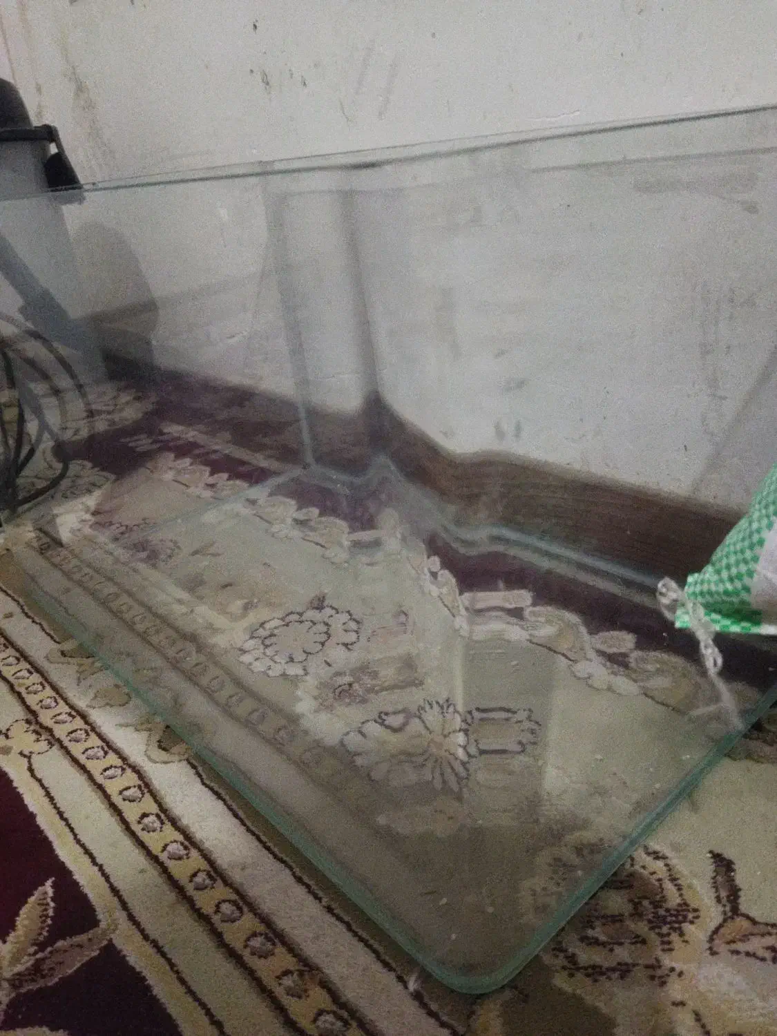 آکواریوم کبوتر قناری پرنده پلاکی دورگ پلاکی|ماهی|فولادشهر, مسکن مهر فولادشهر|دیوار