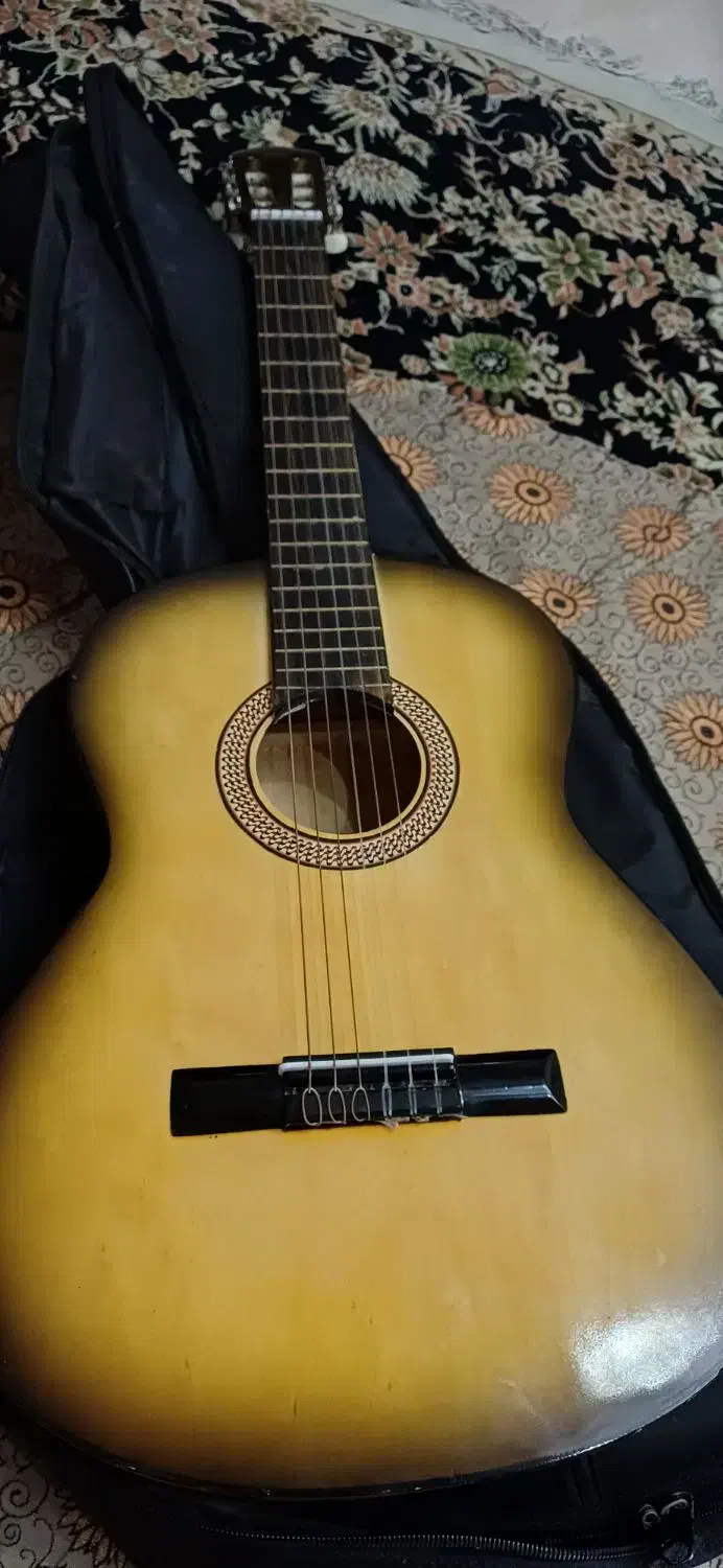 گیتار کلاسیک همراه کاور|گیتار، بیس، امپلیفایر|قرچک, مهدیه|دیوار