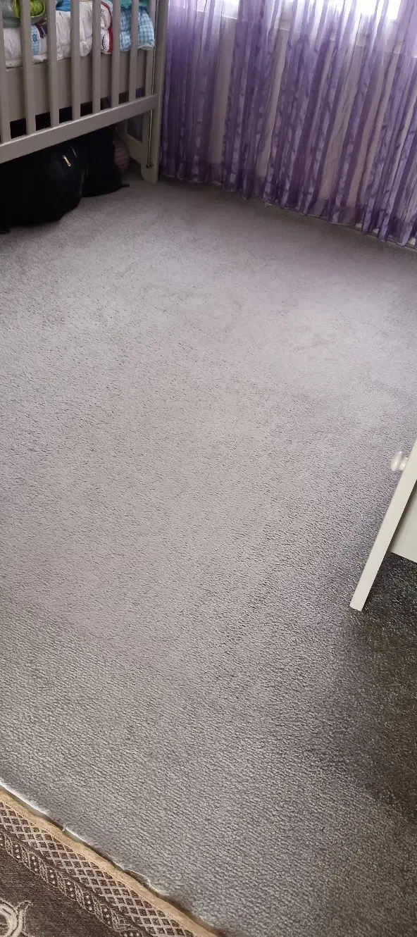 پالاز موکت طوسی ۷.۵ متر مربع|موکت|تهران, استخر|دیوار