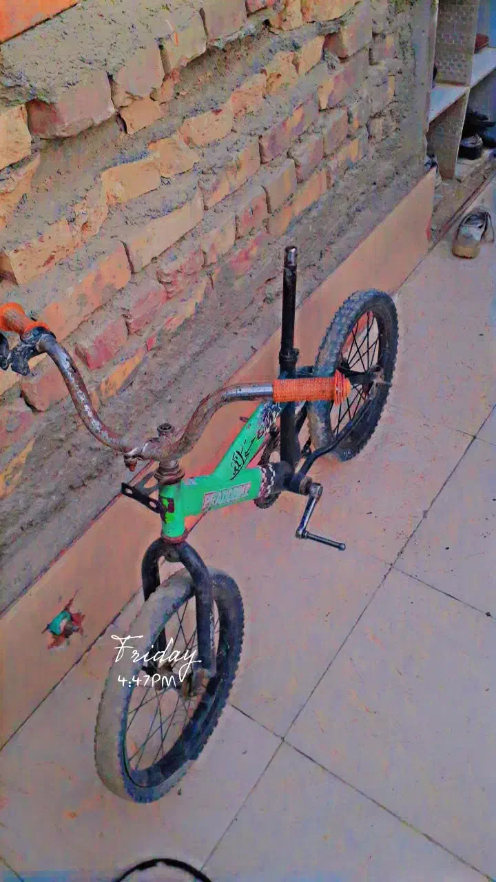 دوچرخه ۱۶|دوچرخه، اسکیت، اسکوتر|زابل, |دیوار