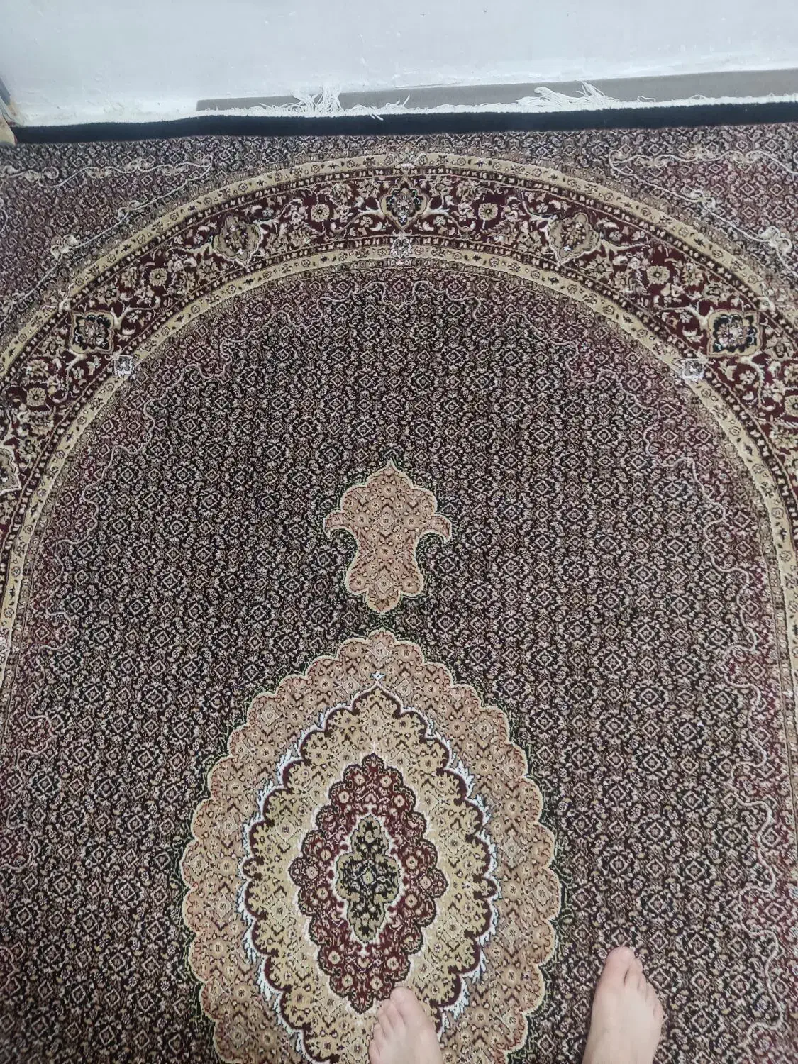 قالی|فرش|جوانرود, |دیوار