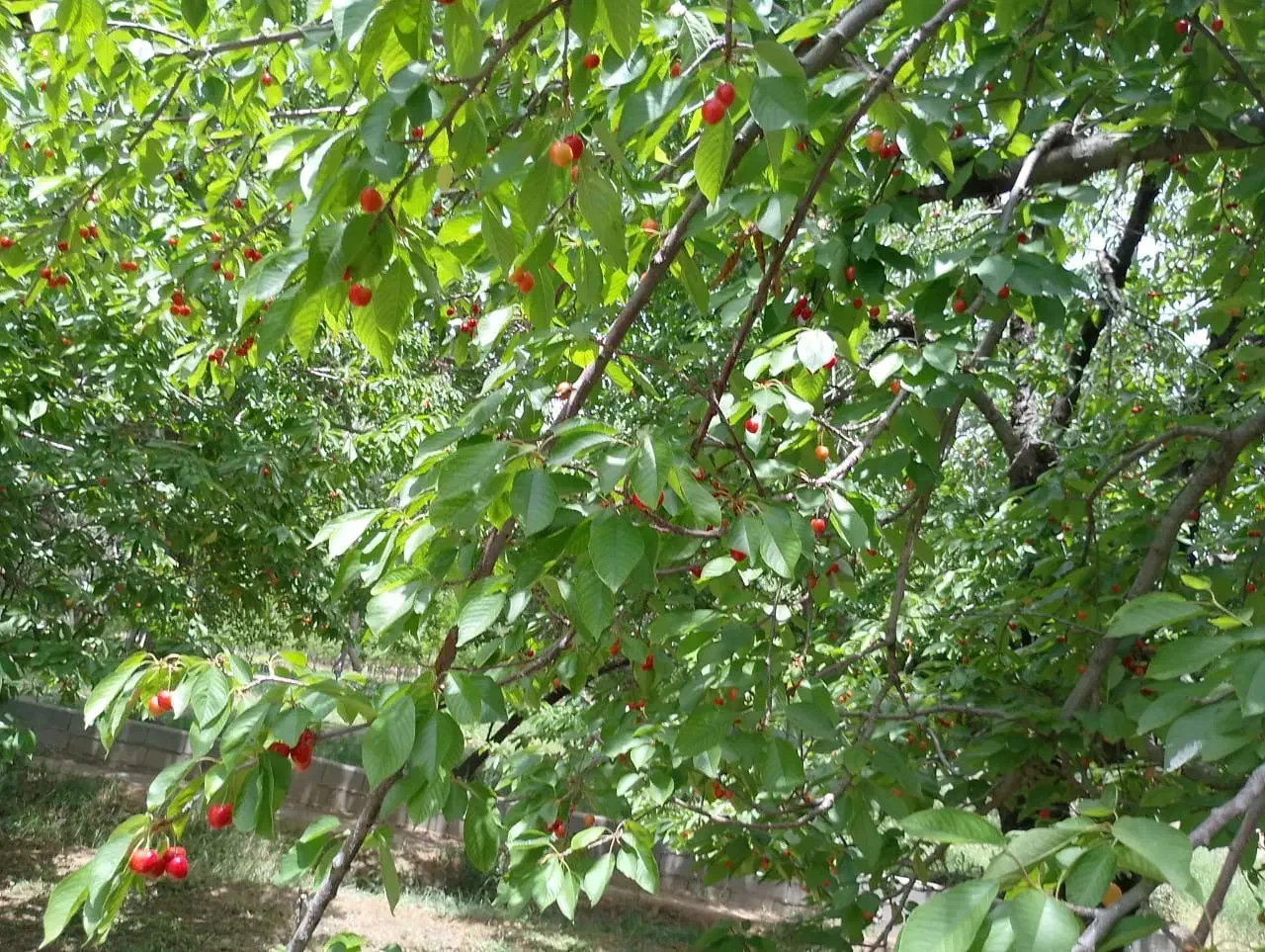 نیاز به هم فکری|فعالیت داوطلبانه|تهران, شهرک دریا|دیوار