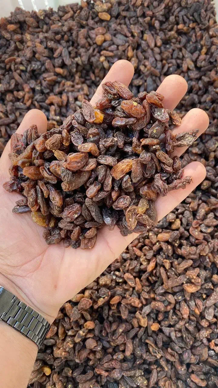 کشمش آفتابی بیدانه|خوردنی و آشامیدنی|قم, میرزائیه|دیوار