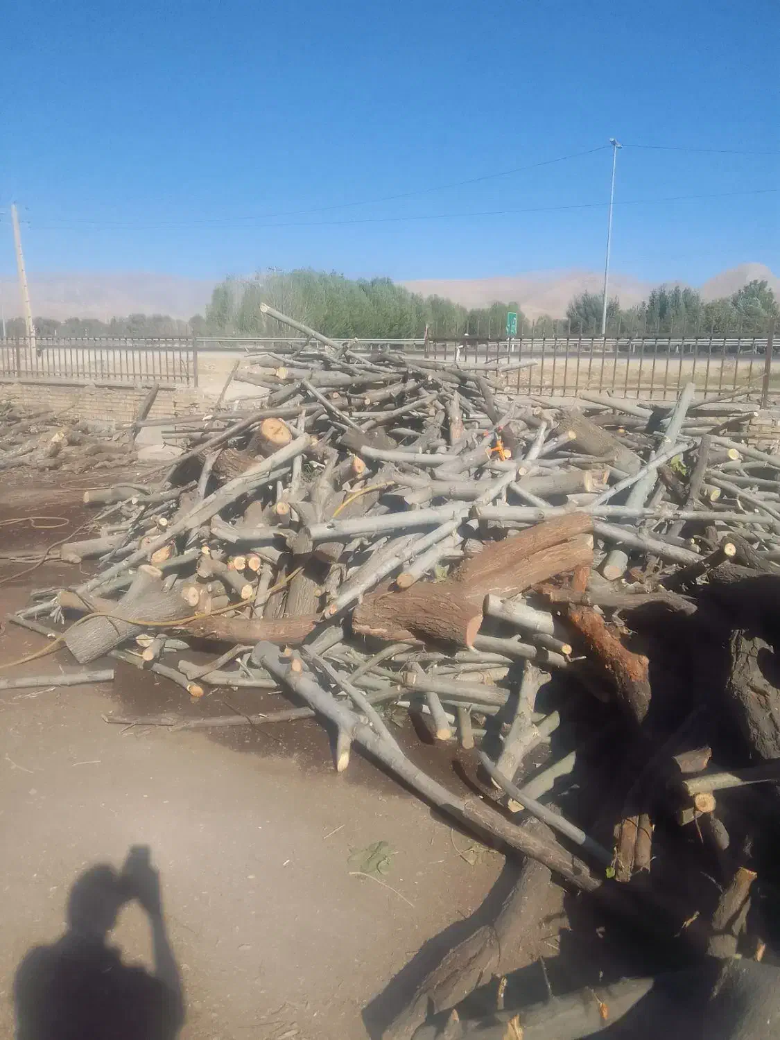 خریدارچوب ودرخت|خدمات باغبانی و درختکاری|نورآباد, |دیوار