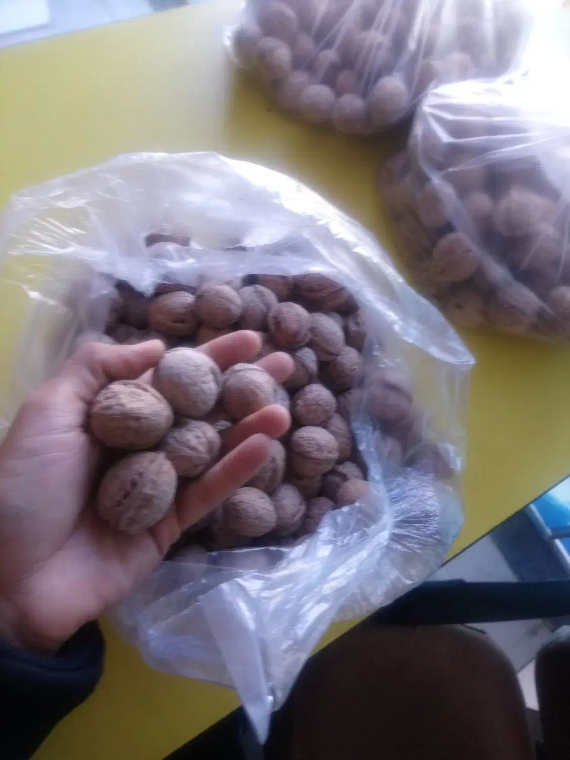 گردو سامان|خوردنی و آشامیدنی|فولادشهر, مسکن مهر فولادشهر|دیوار