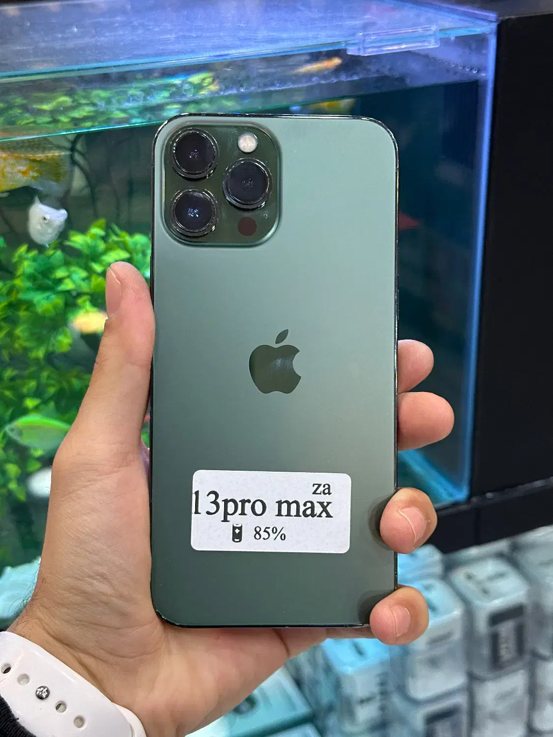 13pro max|موبایل|شیراز, زند|دیوار