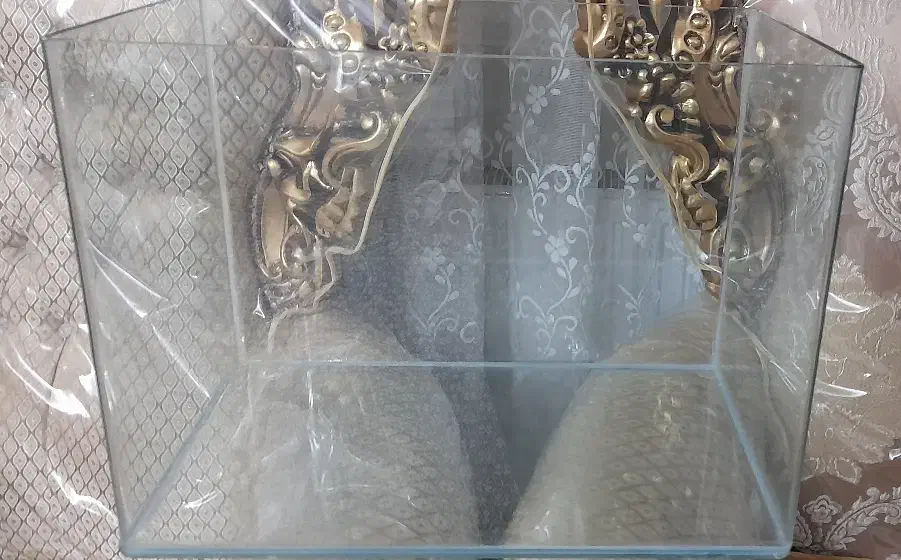 آکواریوم شیشه خم|ماهی|قدس, شهرقدس|دیوار