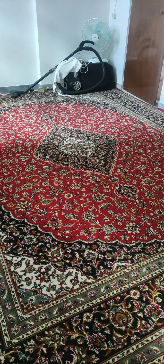 فرش|فرش|دامغان, |دیوار