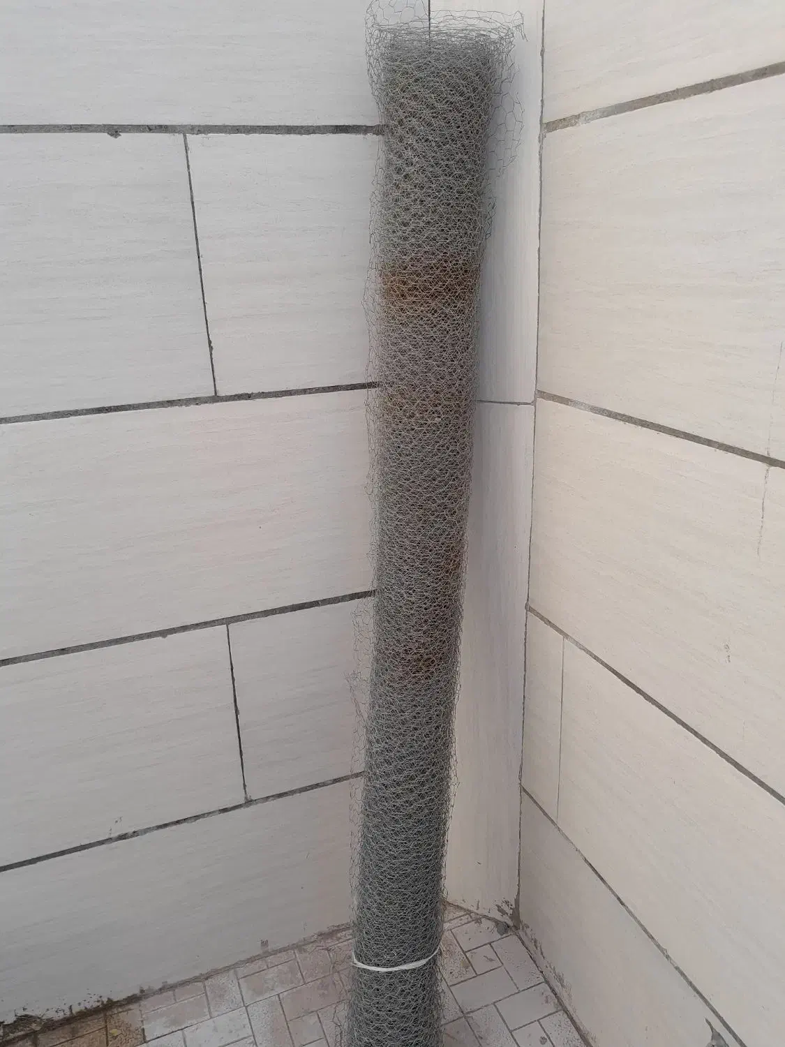 تور مرغی رول ۳۰ متری با عرض ۱۸۰|لوازم جانبی حیوانات|تربت جام, والفجر|دیوار