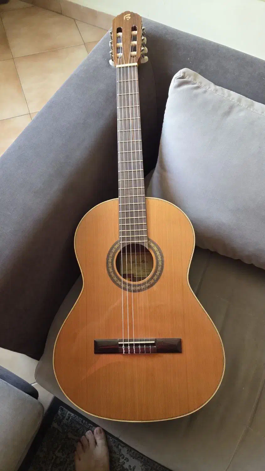 گیتار fransisco bros|گیتار، بیس، امپلیفایر|تهران, دانشگاه شریف|دیوار