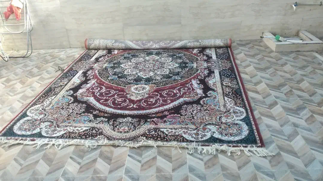 قالی|فرش|باوی, |دیوار