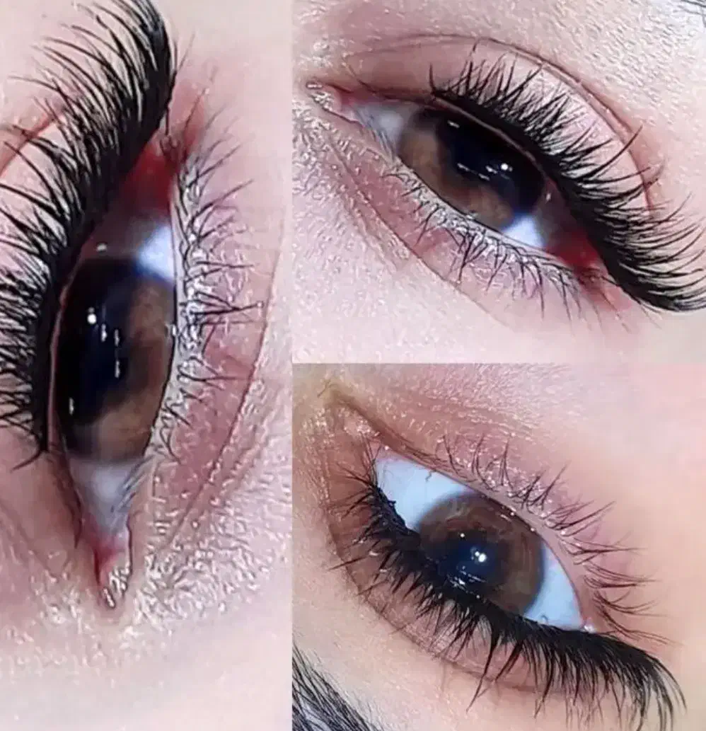 کاشت مژه موقت ۳۵۰ برای شب یلدا|خدمات آرایشگری و زیبایی|رفسنجان, |دیوار