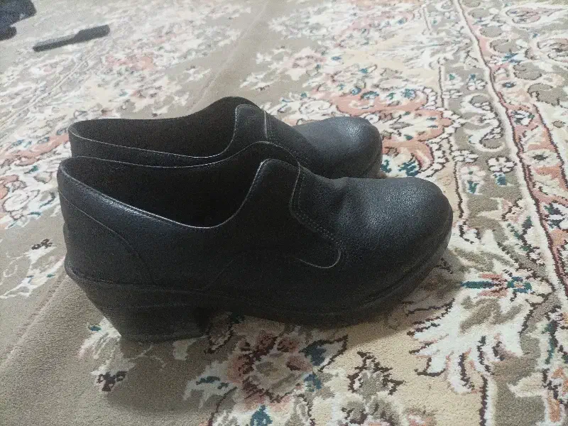 سه جفت کفش درحد نونو|کیف، کفش، کمربند|قوچان, |دیوار