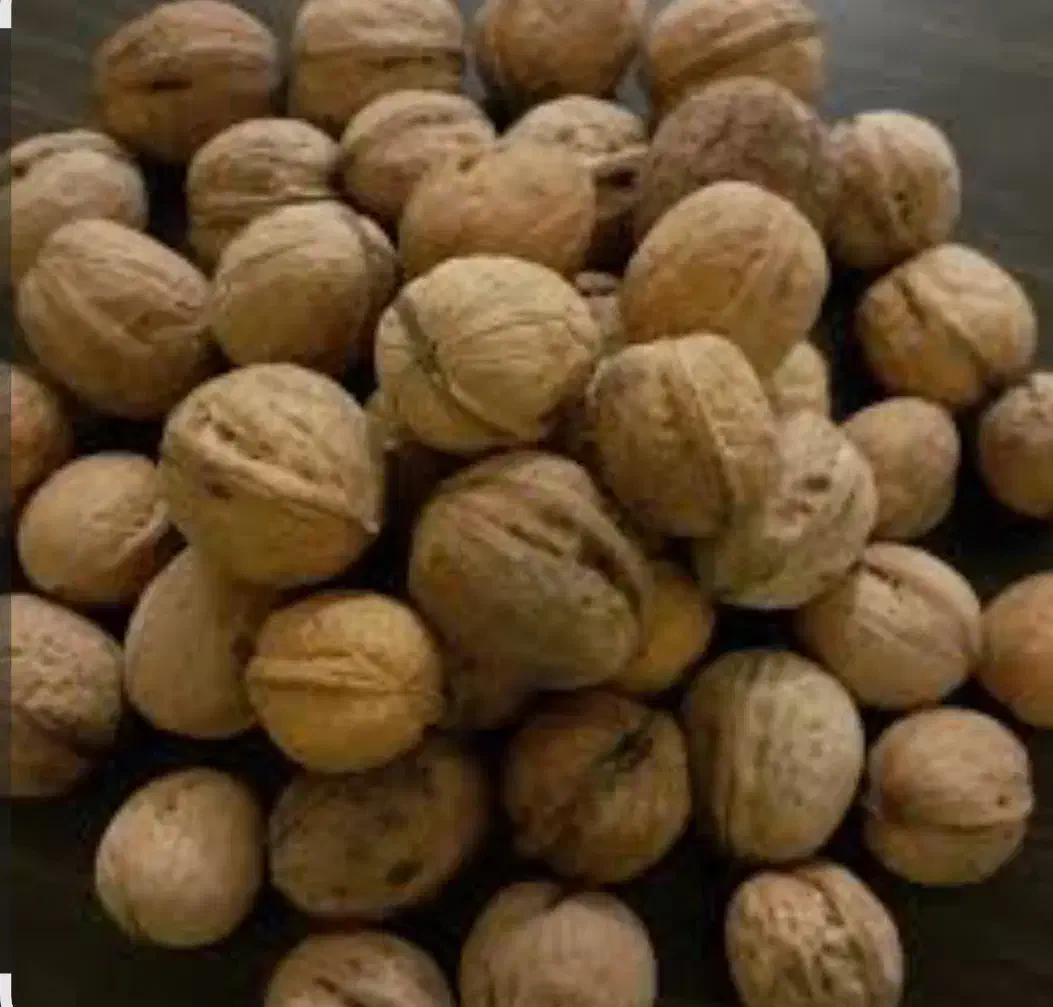 گردوی خوانسار|خوردنی و آشامیدنی|خوانسار, |دیوار