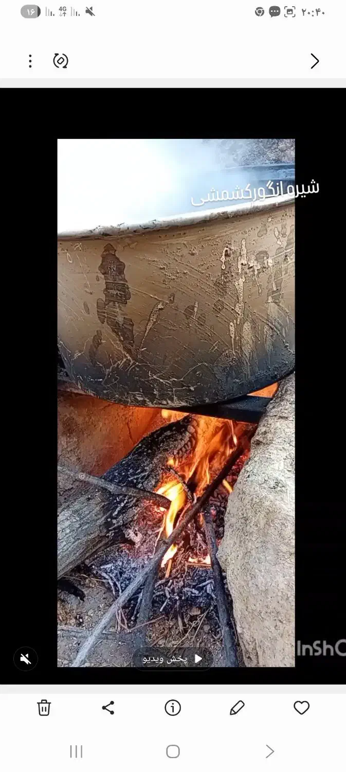 شیره انگور کشمشی|خوردنی و آشامیدنی|شیروان (خراسان), |دیوار
