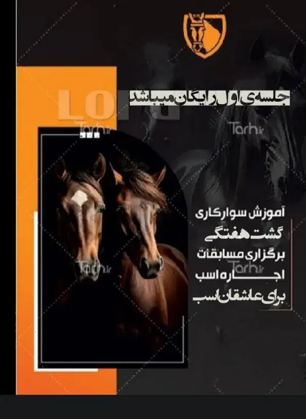 اسب|اسب و تجهیزات اسب‌سواری|امیدیه, |دیوار