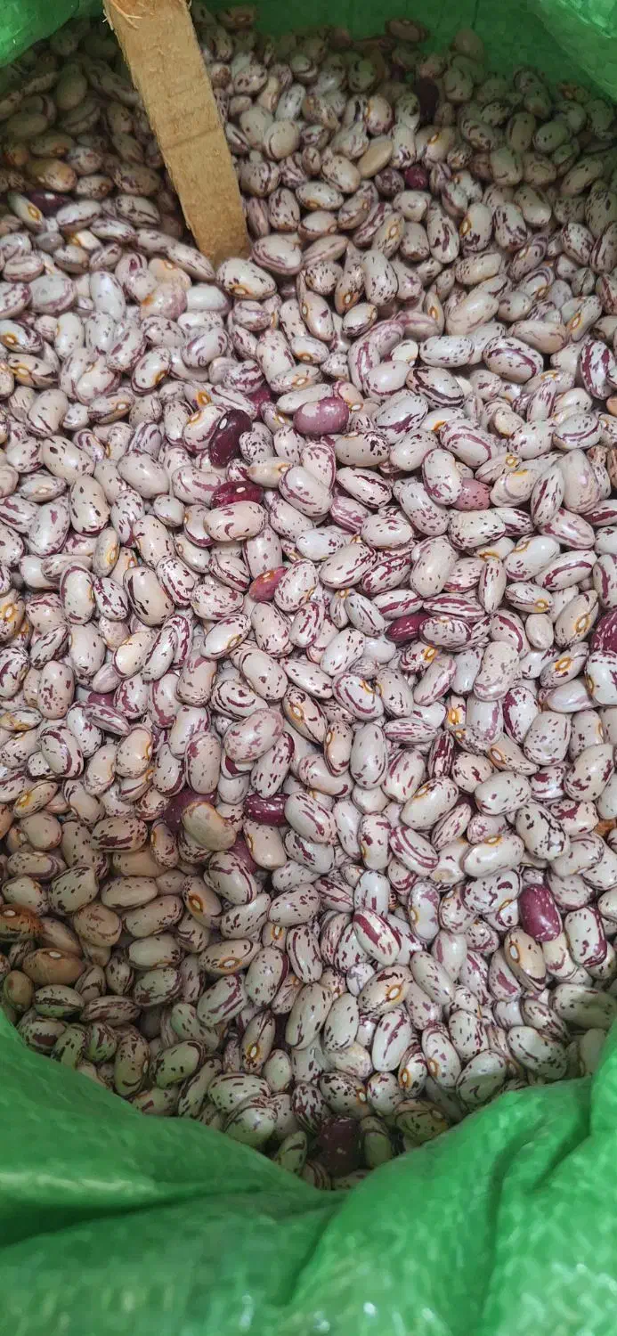 حبوبات درفروشگاه عبادی ارزانتر شد،چیتی۲۸۵۰۰۰ تومان|خوردنی و آشامیدنی|تبریز, |دیوار