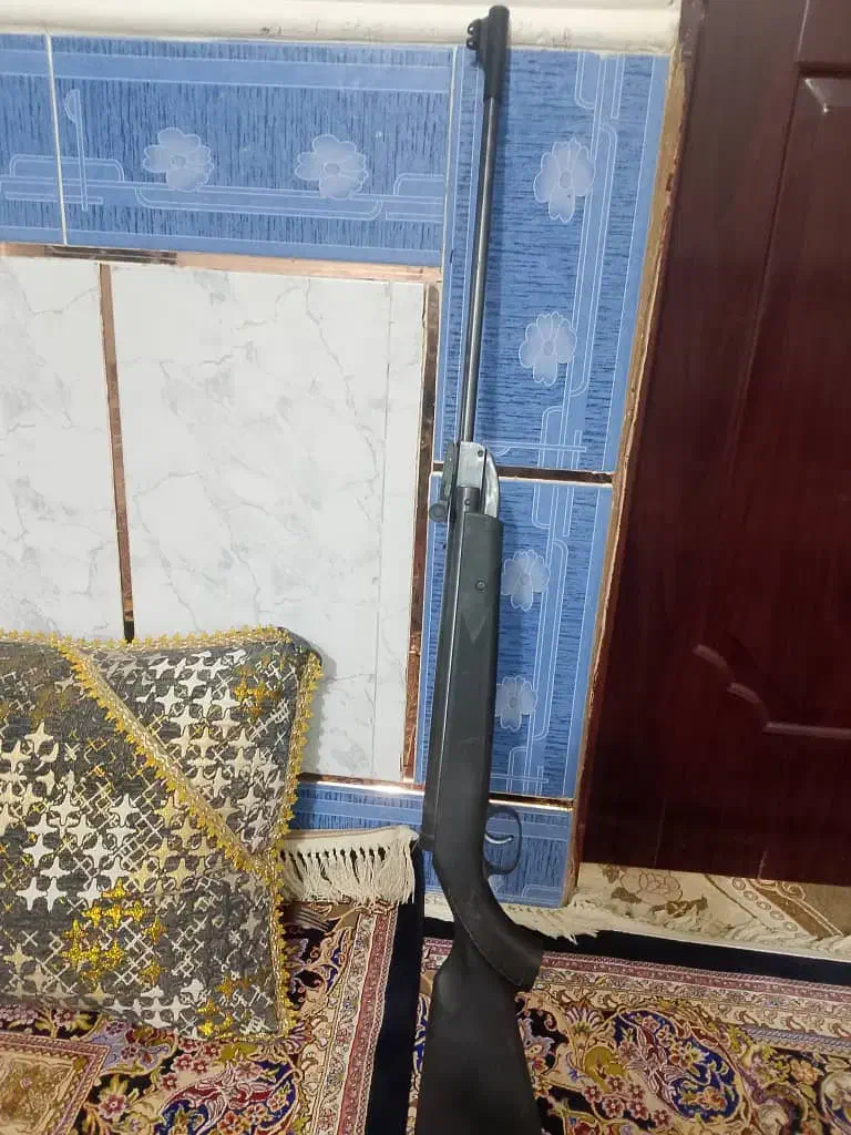 کبوتر|کوهنوردی و کمپینگ|زهک, |دیوار