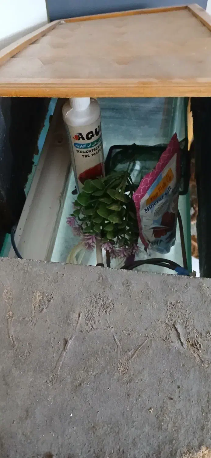 آکواریوم سالم با وسایل|ماهی|فردیس, شهرک ۱۱۰|دیوار