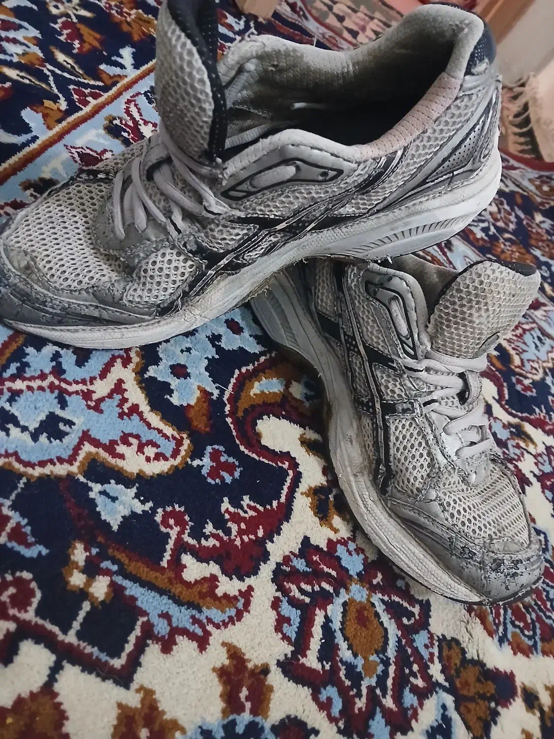 کتونی اورجینا|کیف، کفش، کمربند|زنجان, |دیوار