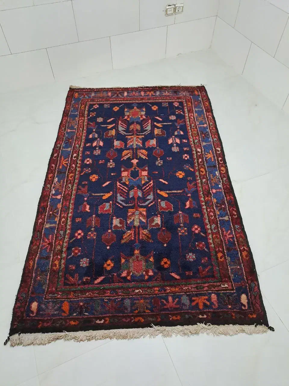 فرش دست بافت نفیس|فرش|تاکستان, |دیوار